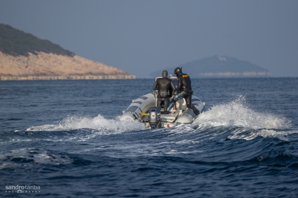 losinj-spearfishing04D1CE923F-3E0E-BEA7-8218-941CBA8CFA25.jpg