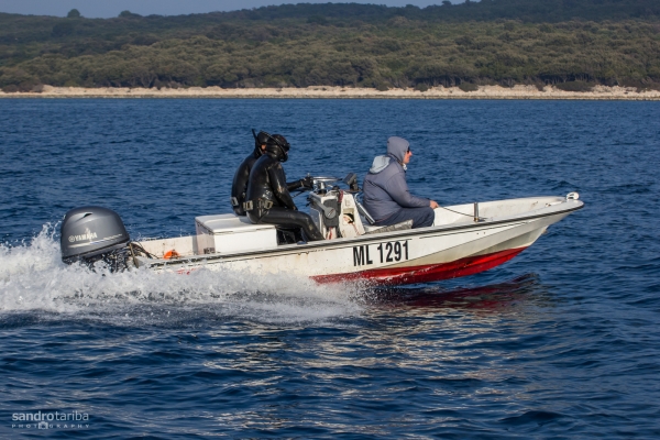 losinj-spearfishing07E992FCBB-3E5A-94D4-3310-427B40E11D9C.jpg