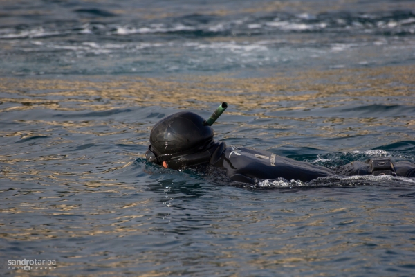 losinj-spearfishing20A9D2BB57-8201-4C93-CC7C-DD1488AD0C99.jpg