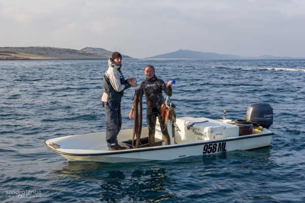 losinj-spearfishing2221DD9F95-7217-A463-6A75-08A5DBAA783A.jpg