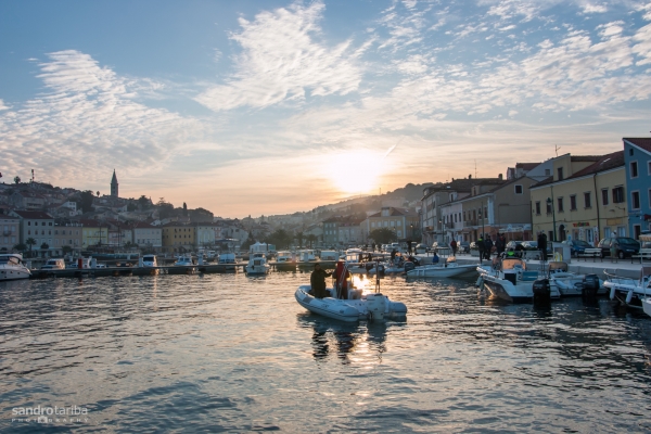 losinj-spearfishing26A8133EED-F12E-7360-F29F-C98890AAF3B8.jpg