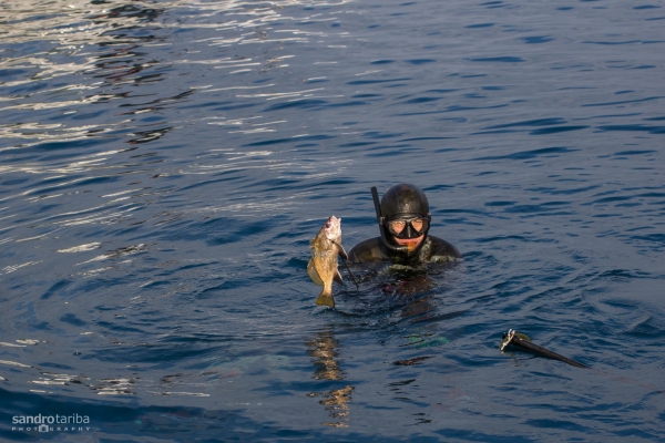 losinj-spearfishing33F89D0EE4-A6BB-A943-BCD9-D5630D19266A.jpg