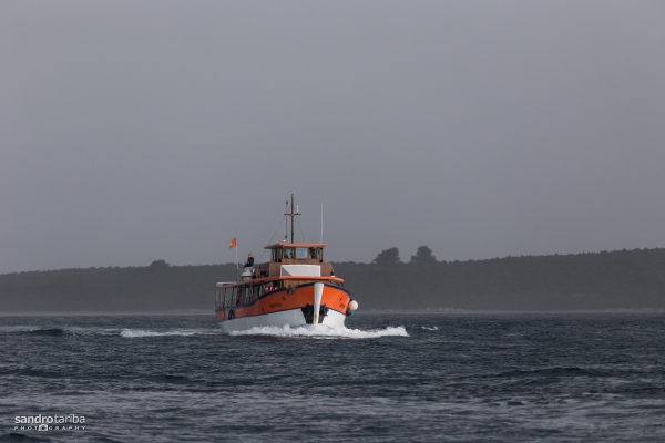 euroafricki-kup-drugi-dan-23705F46D4DC-3F50-B138-2F1B-8DC2FD419FE6.jpg