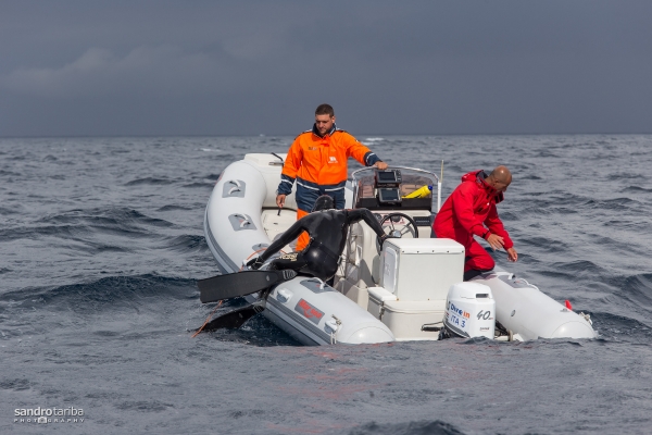euroafricki-kup-drugi-dan-240936D1BE09-2689-3B1B-E7B1-AF8E6EDC8627.jpg