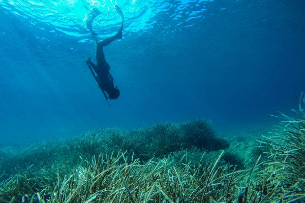 losinj-spearfishing-jakupovic047D810761-B5F3-F9F0-F14A-A8BE9393E418.jpg