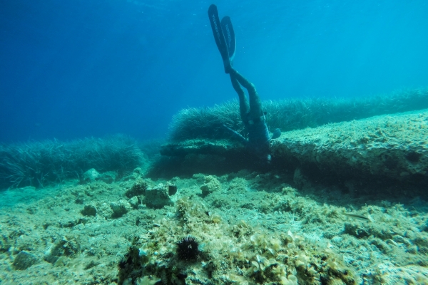 losinj-spearfishing-jakupovic0757E80FDE-92C2-4A17-A690-29BEDAAC0F47.jpg
