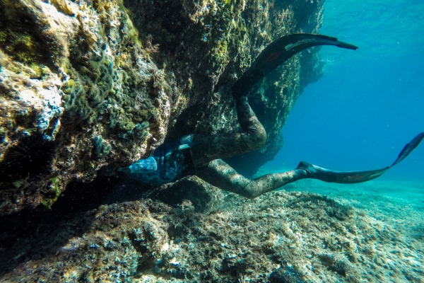 losinj-spearfishing-jakupovic158AB4C75A-B4E7-BA79-8383-27C183C5BED9.jpg