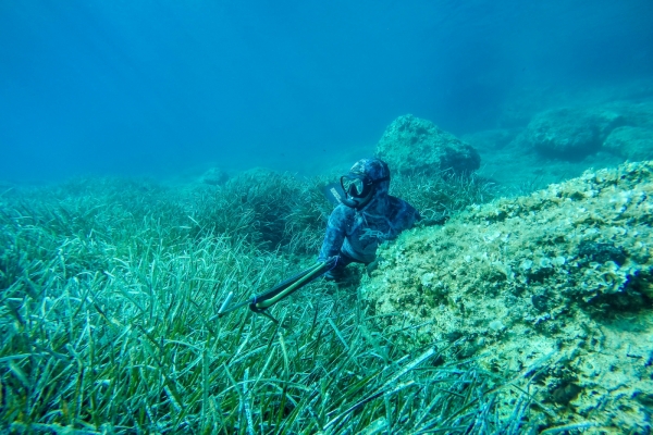 losinj-spearfishing-jakupovic24350DB053-B70E-E431-0BC5-A98E87406198.jpg