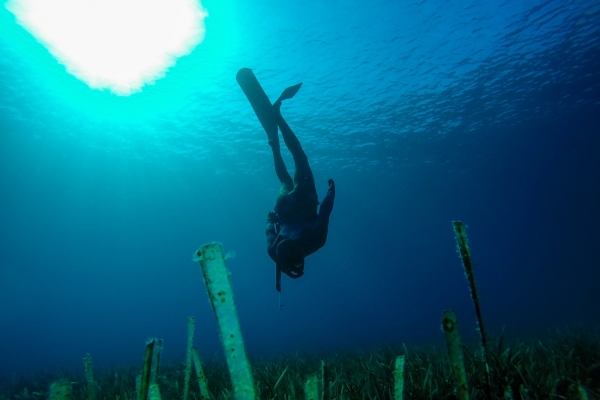 losinj-spearfishing-jakupovic282FDE7BF7-5239-3B34-A98C-868B0E278430.jpg