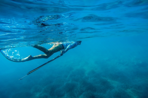 losinj-spearfishing-jakupovic3526478535-742B-C149-FC4C-3D866742A414.jpg