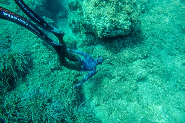 losinj-spearfishing-jakupovic3958D36707-E3C7-1101-DDEB-FCFA2FF70A02.jpg