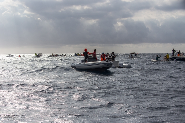 euroafricki-kup-prvi-dan-1483C699A526-576A-6B38-3E3E-D7C50DB764D3.jpg