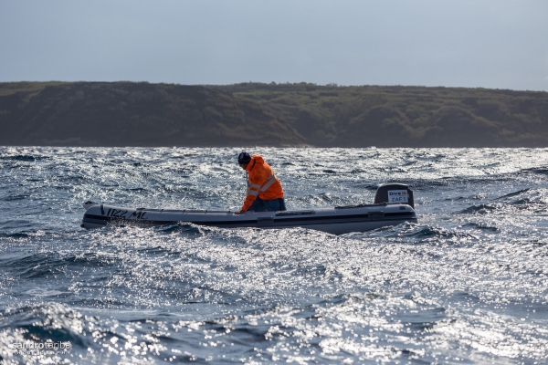 euroafricki-kup-prvi-dan-1581001A7ECF-8709-1201-86FB-C94D679C8BC7.jpg