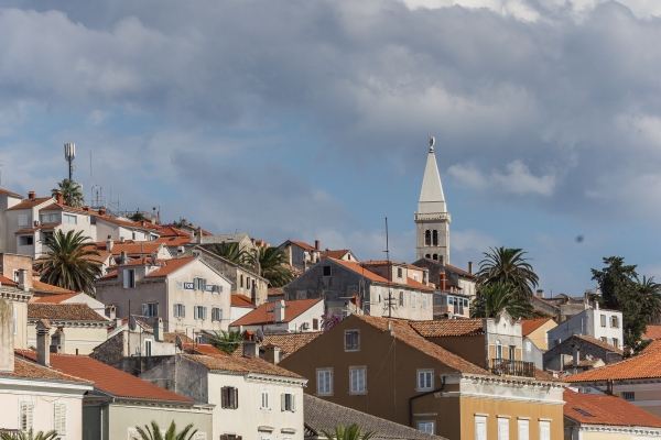 euroafricki-kup-prvi-dan-1635D8D5E35D-FA08-2364-7909-B64DBAB8E25C.jpg