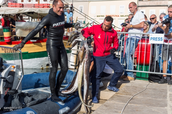 euroafricki-kup-prvi-dan-18541BDC552E-8C29-9954-BBE4-D8735958072B.jpg