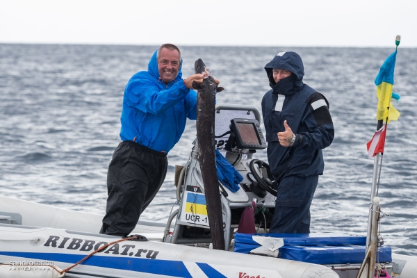 euroafricki-kup-prvi-dan-322938882C838684-5F6B-25BC-8369-2E534E8ECE8F.jpg