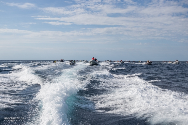 euroafricki-kup-prvi-dan-3385402922D4FAD6-104D-9202-5E49-9F364C0C1C88.jpg